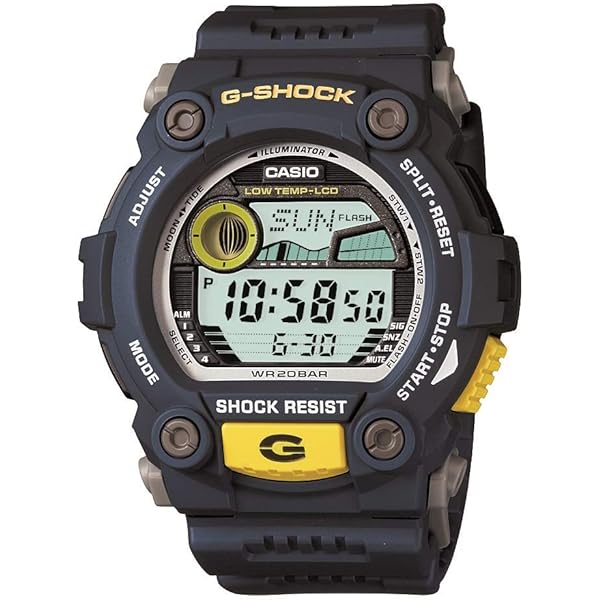 Casio Erkek DW290-1V 